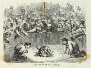 &ldquo;A Dog Fight at Kit Burn&rsquo;s,&rdquo; in James McCabe. The Secrets of the Great City. Philadelphia: National Publishing Company, [1868].